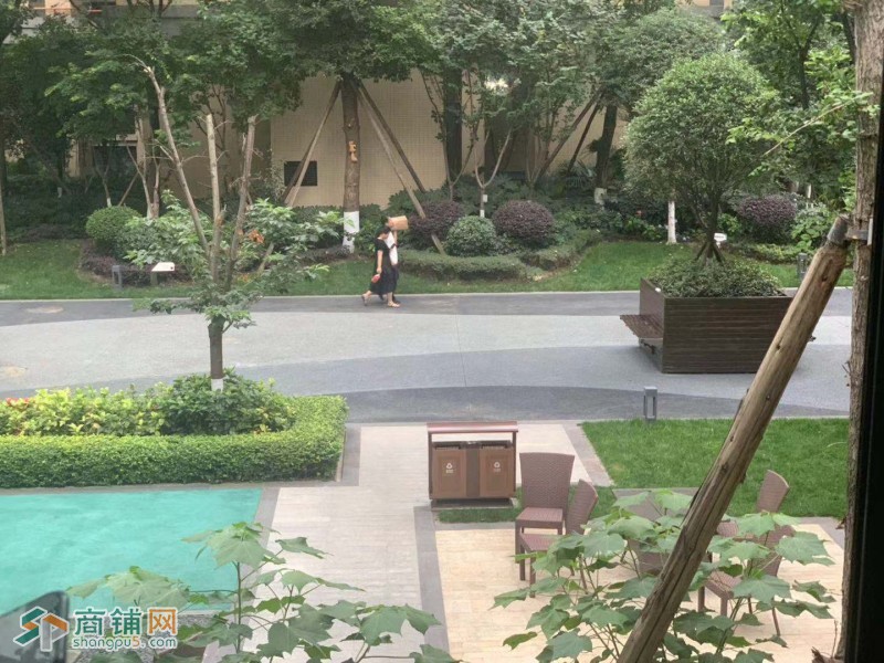 小区口110平房东直租图3