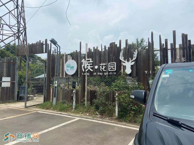 急转 文艺之乡花草店  转让费合理 人流流大图2