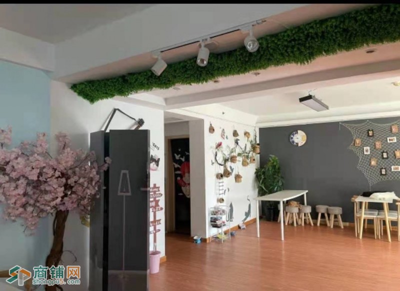 商铺店铺转让猫咖猫吧转让带装修家具猫咪整转可空转图2