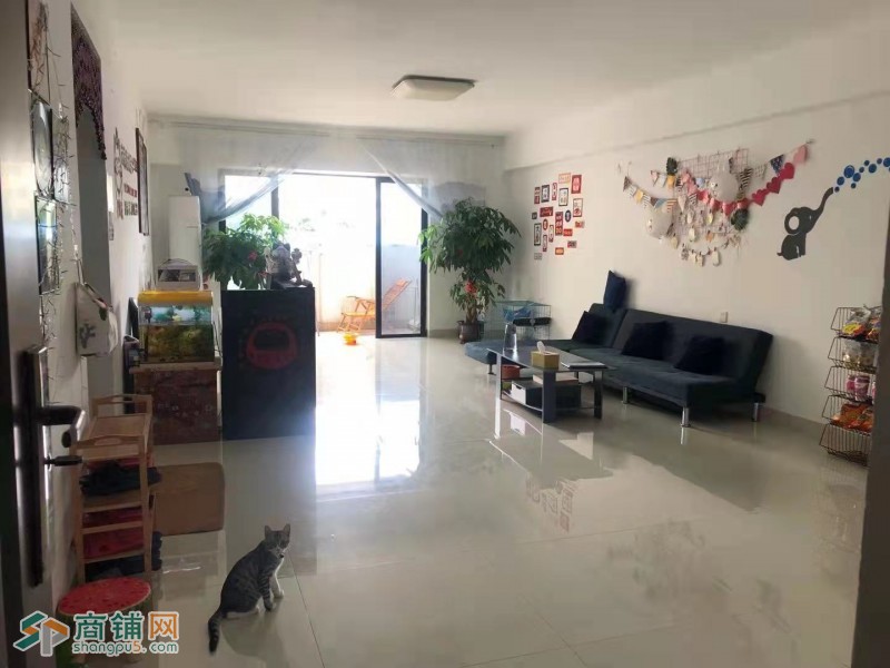 私人影院低价转让图2