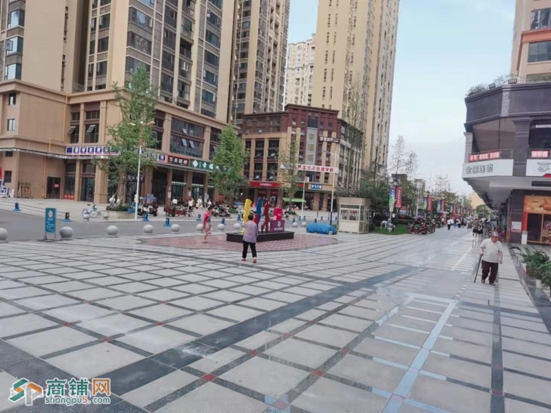 十字路口 临街旺铺挥泪转图2