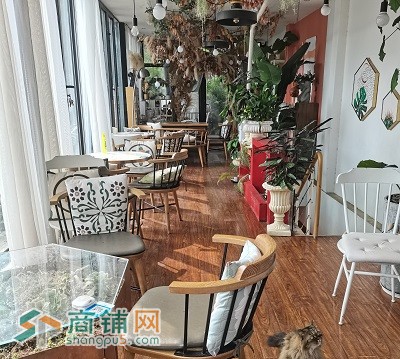 鼓楼大街 附近 花店 咖啡厅商铺转让图2