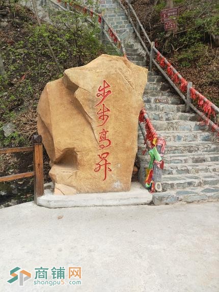 沈北新区五亩地出售图2