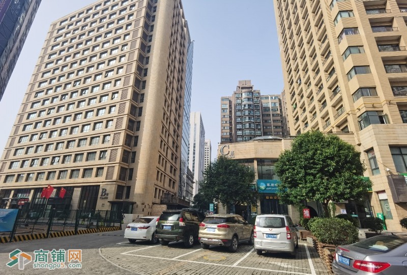 木塔寺地铁口 旺座现代城旁 CLASS国际公馆 268平精装带家具 现房特价图3