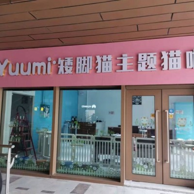 中介猫咖新店转让