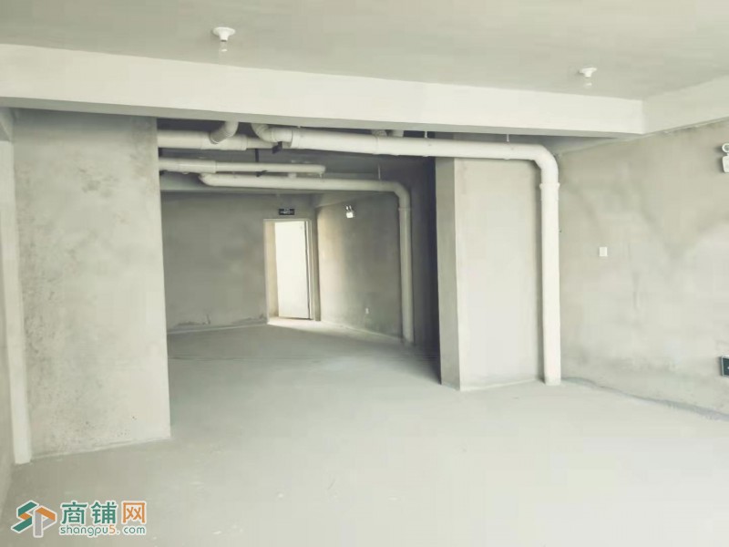 黄金地带 旺铺招商 第一年免租金图3