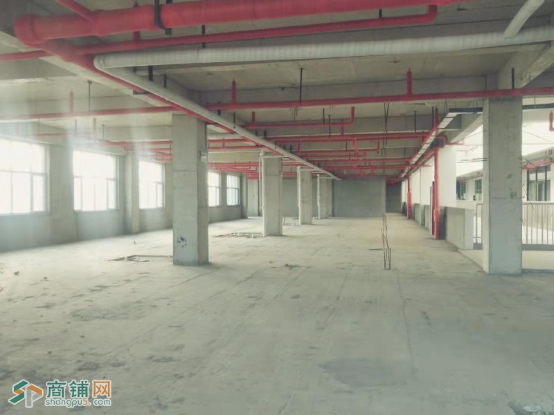 至尊宝地 商业旺铺 火爆招商 第一年免租金 机会不等人图2