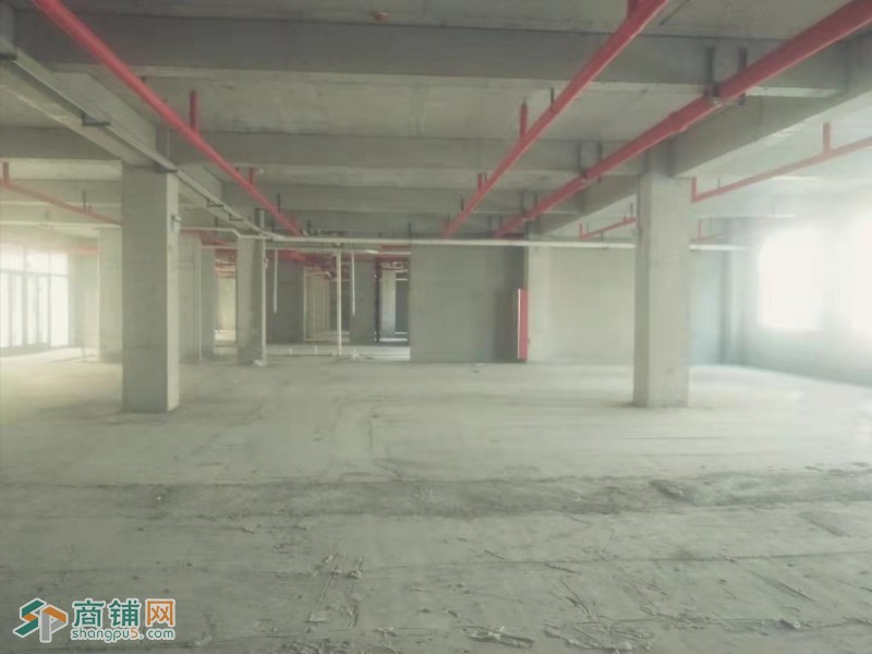 至尊宝地 商业旺铺 火爆招商 第一年免租金 机会不等人图3