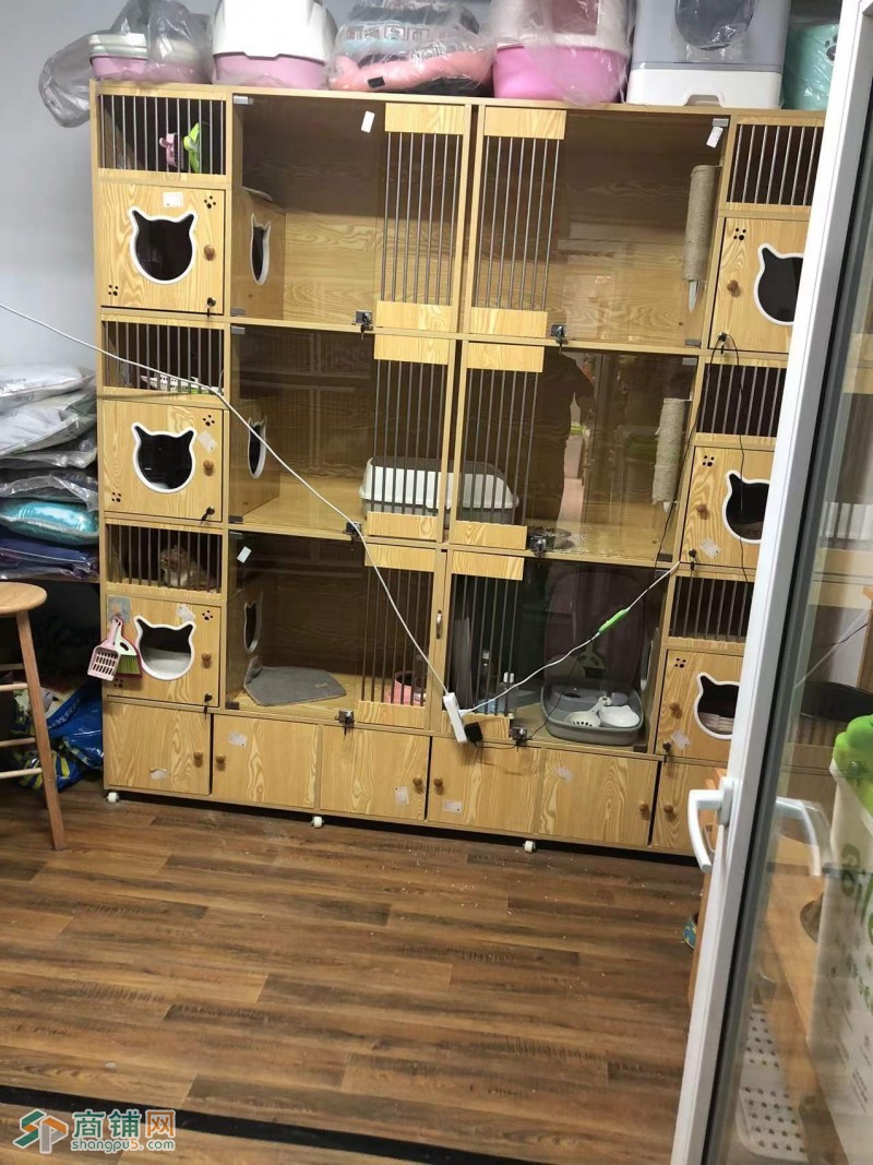 大东区 宠物店 带固定会员 拐角门市 位置好 因马上结婚回老家 忍痛割爱 盈利状态 房租低 想兑店的年前抓住这个黄金期图2