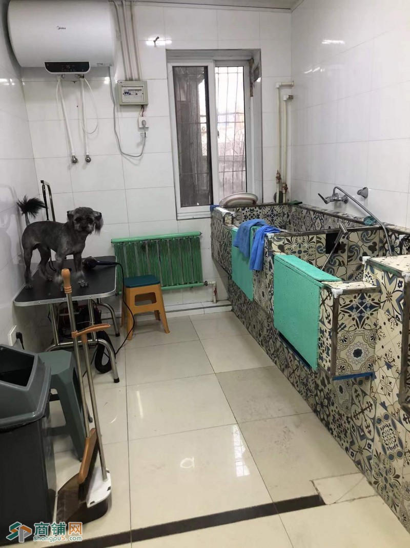 大东区 宠物店 带固定会员 拐角门市 位置好 因马上结婚回老家 忍痛割爱 盈利状态 房租低 想兑店的年前抓住这个黄金期图3