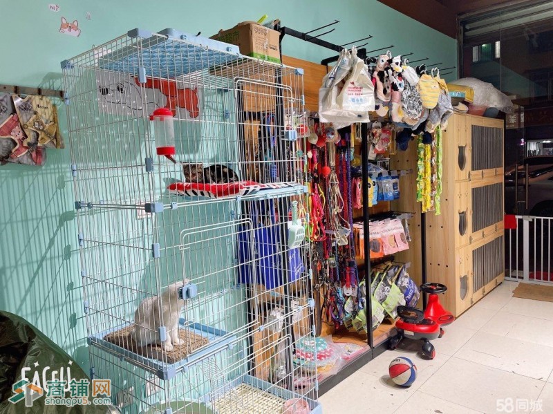 W新都区三河场临街盈利中宠物店挥泪转让图2