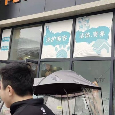 w转让 温江滨江路派多格宠物店挥泪转让 中介勿扰