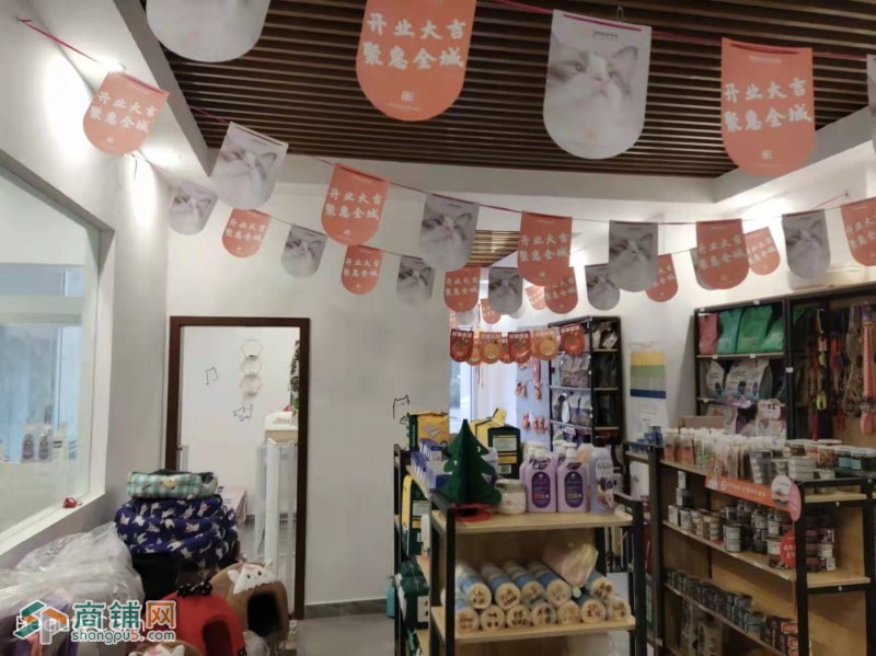 w转让 温江滨江路派多格宠物店挥泪转让 中介勿扰图2