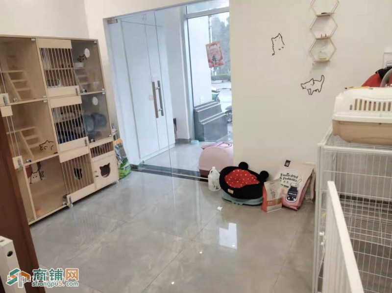 w转让 温江滨江路派多格宠物店挥泪转让 中介勿扰图3
