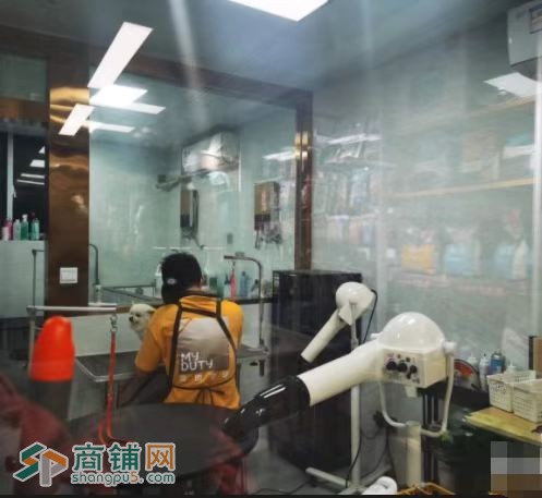 上海浦东高盈利宠物店转让图2