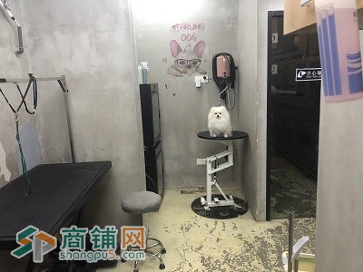 上海黄浦区营业中宠物店转让图3