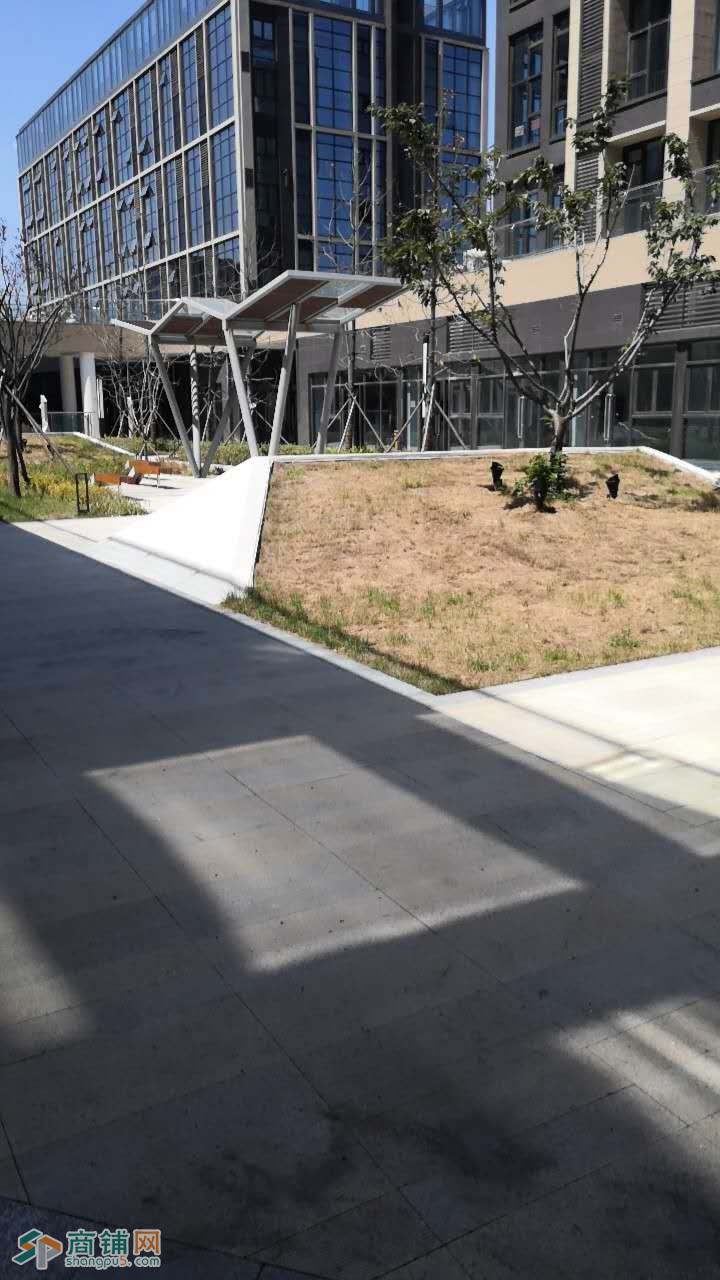 出租凯丰国际商铺 毗邻高新区管委图2