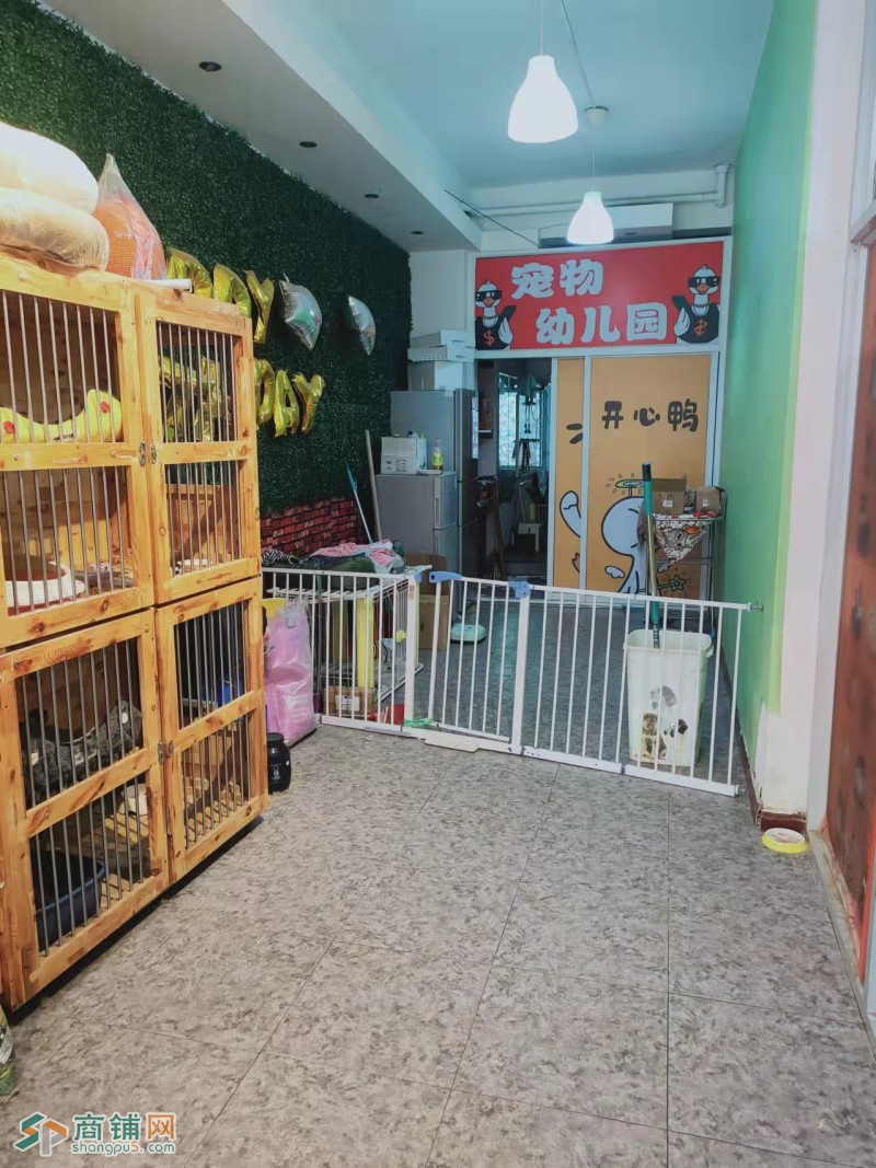 宠物店出兑带客户 客户全部给下家图2