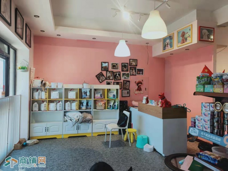 宠物店出兑带客户 客户全部给下家图3