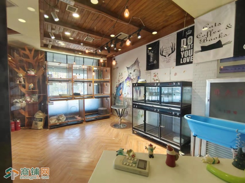 浑南建筑大学临街宠物店餐饮店美容养生转让出兑（可做任何行业）图2