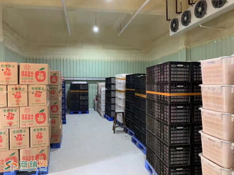 惠阳骏兴水果批发市场免租招商进行中......图3