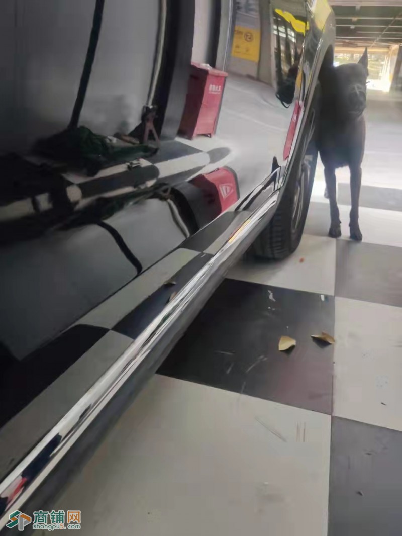 W 南山车管所旁边汽车凹陷玻璃修复加盟店转让，包含技术转让图3