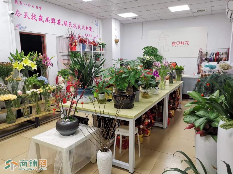 W昆明发展转让盈利中的坂田花店图2