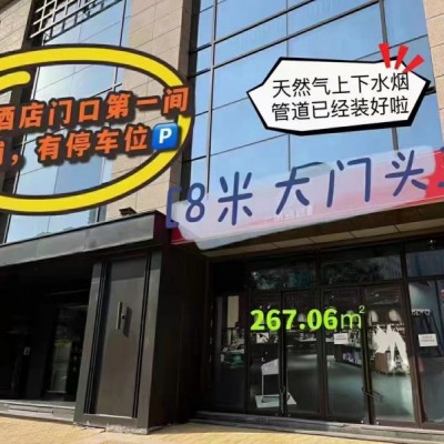 地铁口现铺带租约出售 即买即收益 主干道旁一层、二层、三层均有