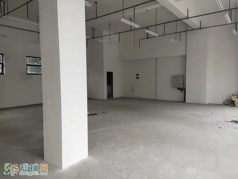 W精选  金河路无转让费成熟铺面出租 中介勿扰图2