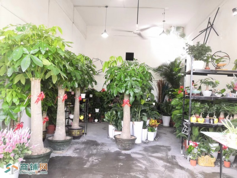 转让龙华大浪时尚小镇十字路口7年老店有阁楼可做2层商业街店铺图2