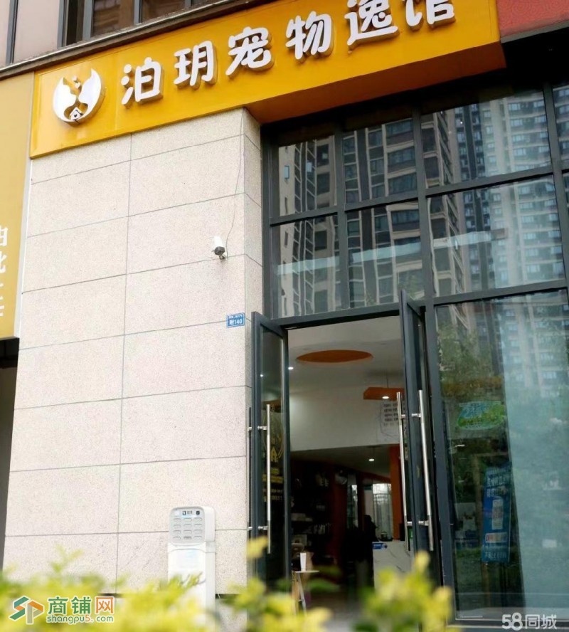 W转让 新装修性价比超高宠物店 中介勿扰