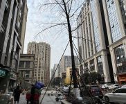 w转让 精装修品牌甜品店挥泪转让 中介勿扰图3