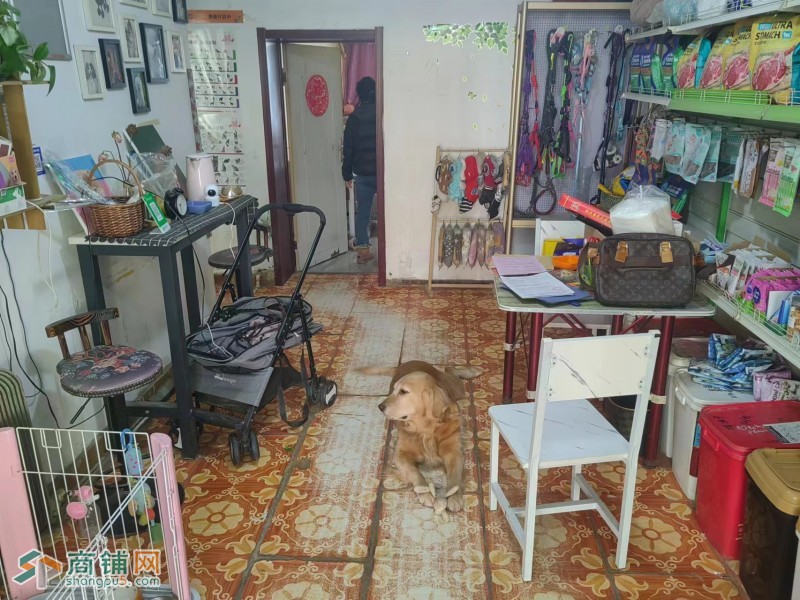沈河旺铺宠物店转让图2