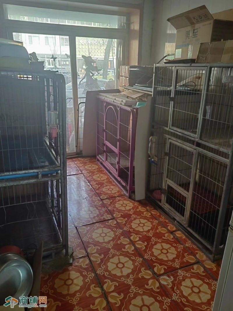 沈河旺铺宠物店转让图3