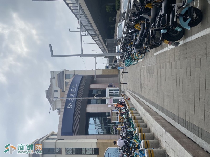 紫荆山路陇海路教程口图2