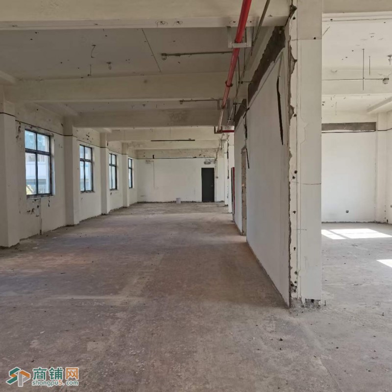 地铁龙漕路站独门独院写字楼带天台图2