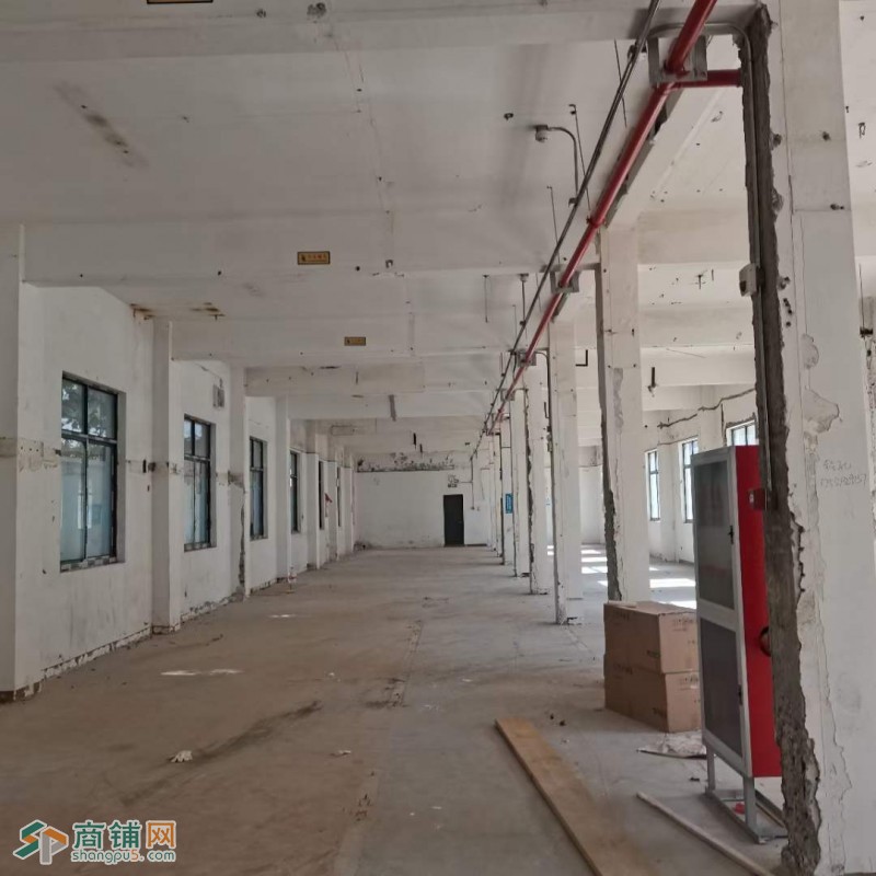 地铁龙漕路站独门独院写字楼带天台图3