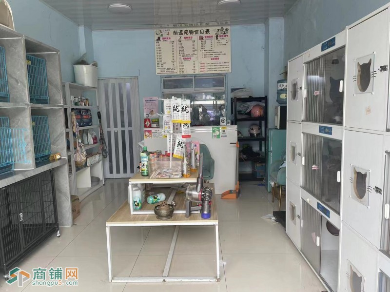 吴中吴江交界处红树湾广场。宠物店转让 面积80平图2