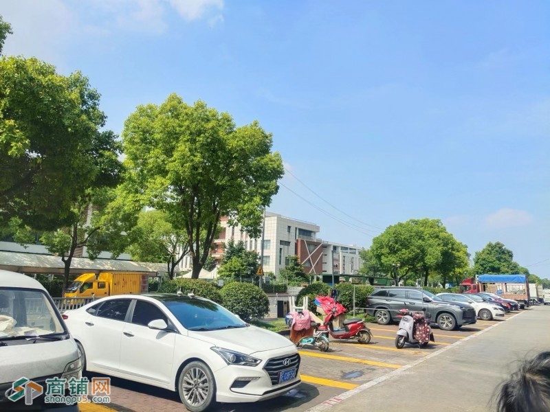 吴中吴江交界处红树湾广场。宠物店转让 面积80平图3