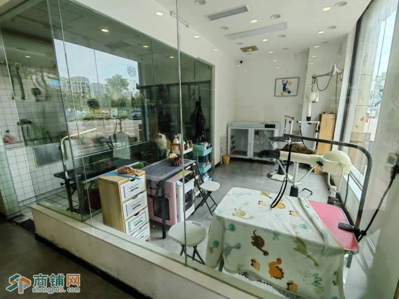 易铺推荐 郭巷150平精品宠物店，豪华装修，接手营业！！图3