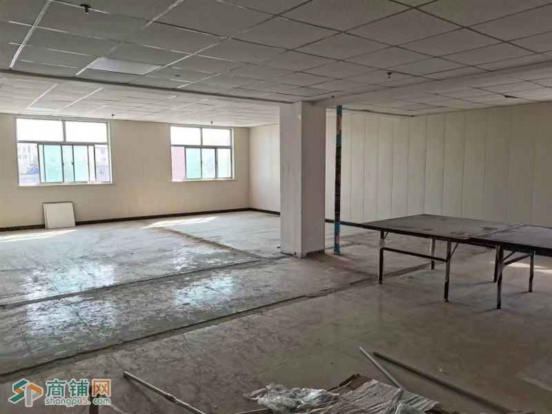 编号2389新华区新华东路三联家电楼上出租图2