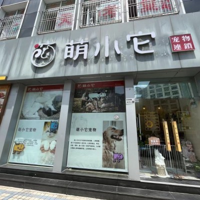 罗湖区临街宠物店