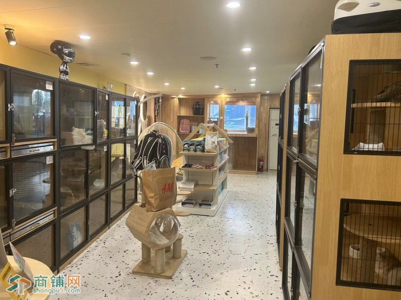 w西丽地铁站旁全新装修宠物店转让图3