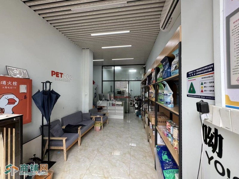 龙华区派多格宠物店图2