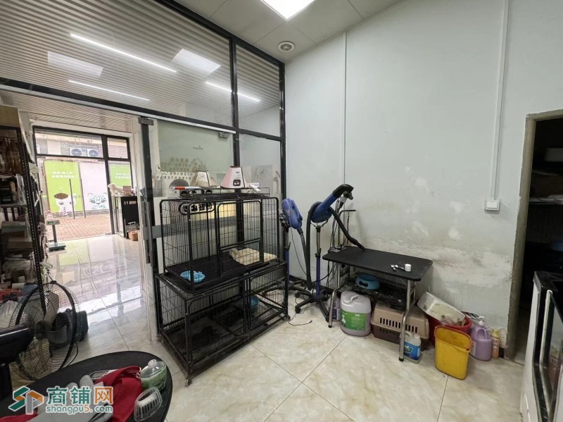 龙华区派多格宠物店图3