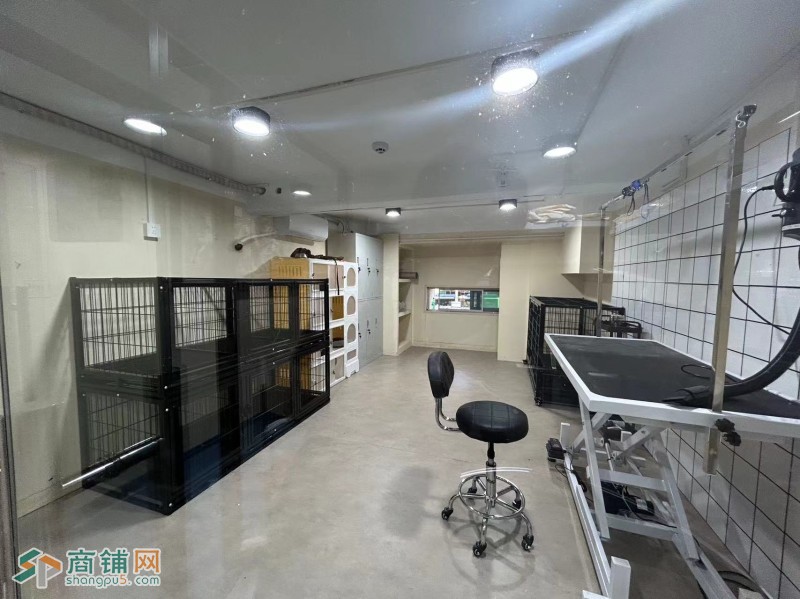 龙岗布吉临街宠物洗护店图3