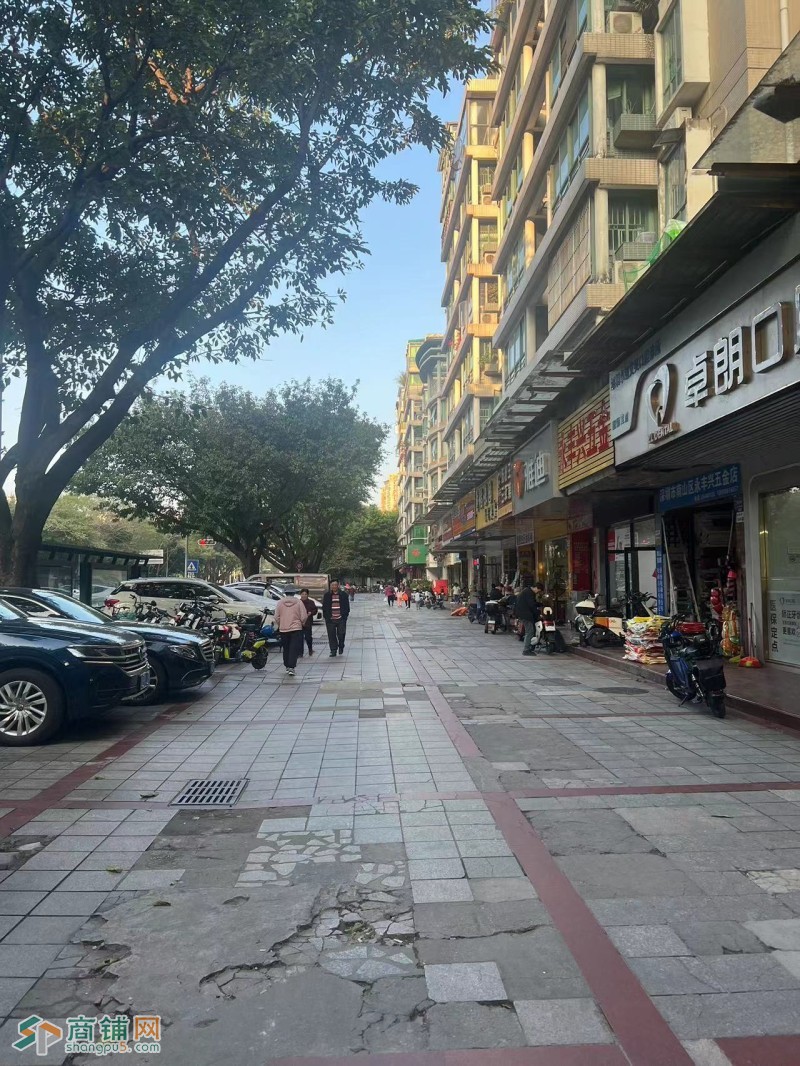 学校小区门口 写字楼包围 门前公交站w图3