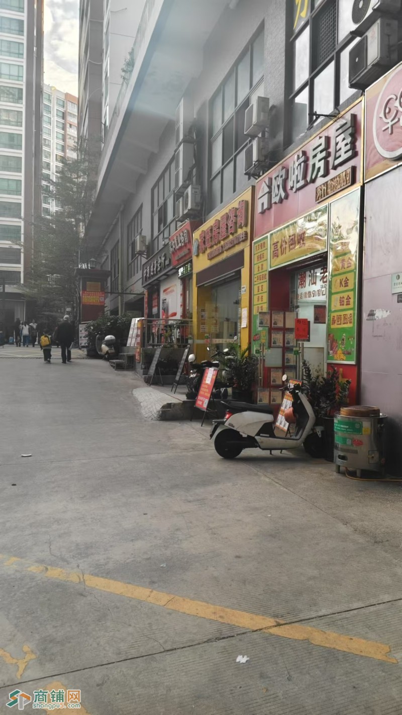 W龙岗欧啦地产转让图3