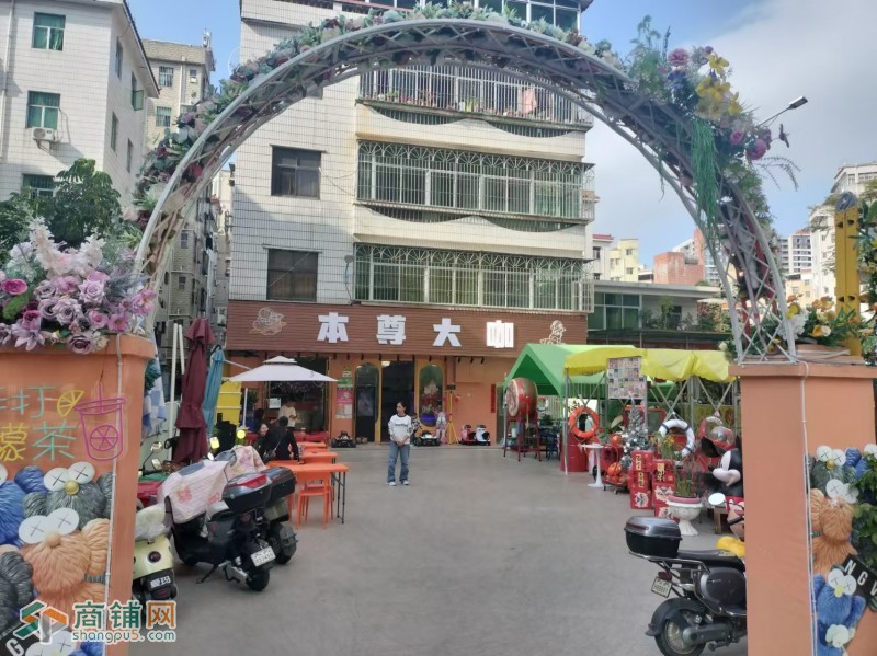 w观澜本尊大咖图3