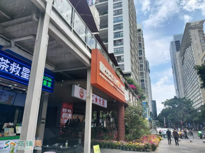 w福田茶救星球图3